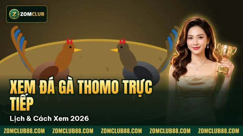 Hình minh họa bài viết: Xem Đá Gà Thomo Trực Tiếp ZomClub Lịch & Cách Xem 2026