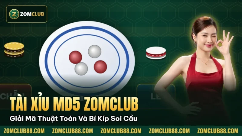 Hình minh họa bài viết: Tài Xỉu MD5 ZOMCLUB: Giải Mã Thuật Toán Và Bí Kíp Soi Cầu