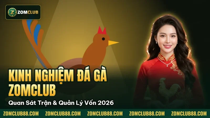Kinh Nghiệm Đá Gà Zomclub - Quan Sát Trận & Quản Lý Vốn 2026 1 Hình minh họa bài viết: Kinh Nghiệm Đá Gà Zomclub Quan Sát Trận & Quản Lý Vốn 2026